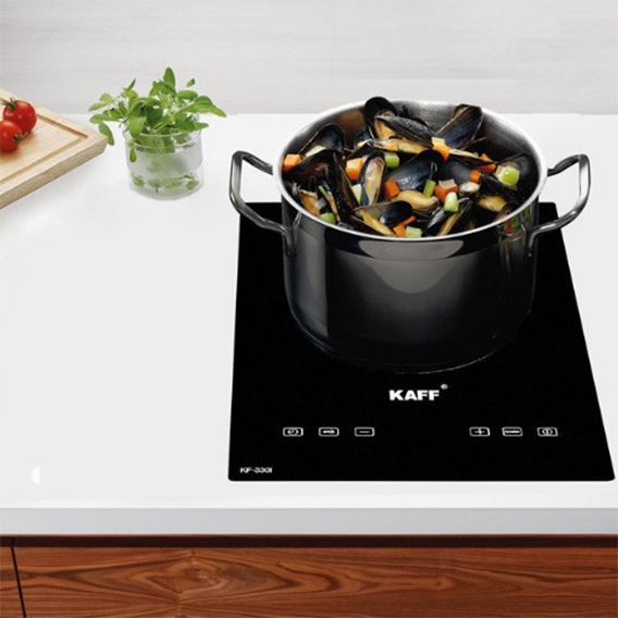 Mẫu bếp từ đơn lắp âm