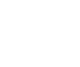 section 4 icon